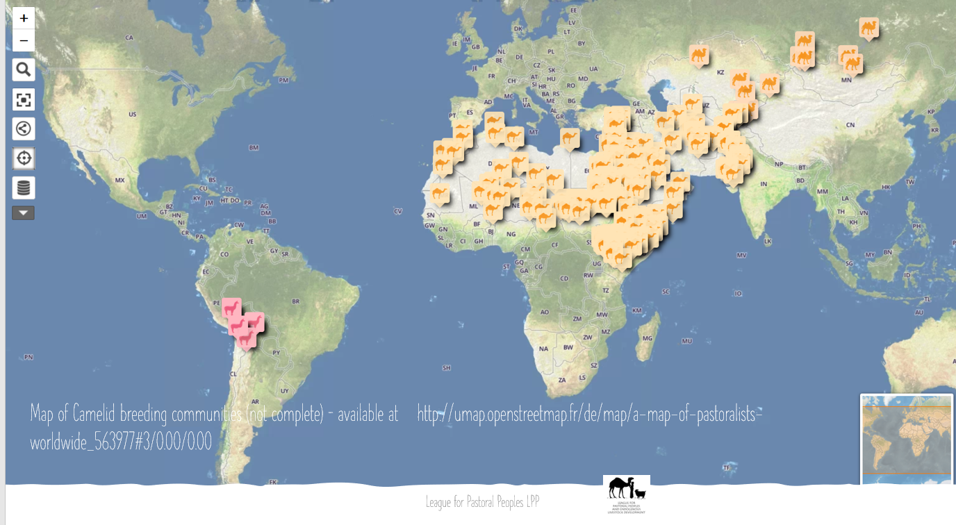 The International Year Of Camelids 2024: How Can It Benefit Camel ...